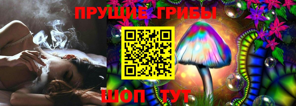 Псилоцибиновые грибы прущие грибы Зеленогорск