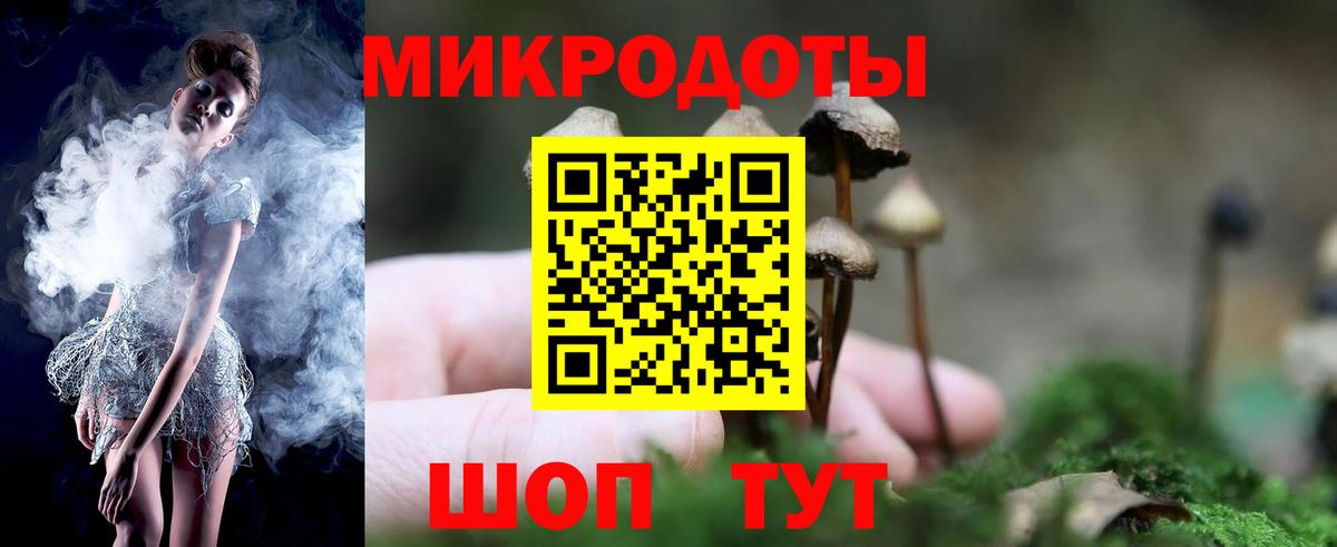 Галлюциногенные грибы мухоморы  Псилоцибиновые грибы Psilocybine cubensis  Вход с VPN  Зеленогорск 